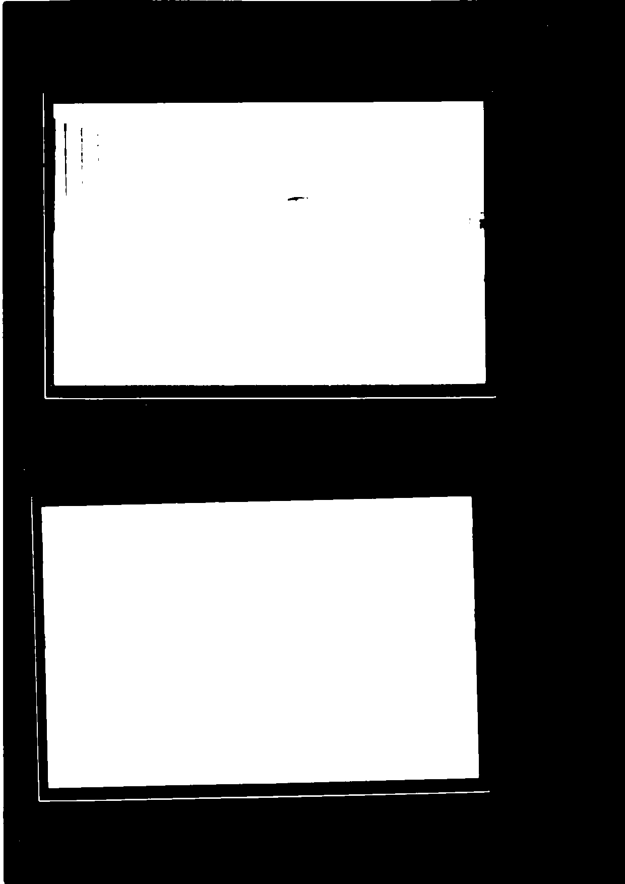 Thresholded example image